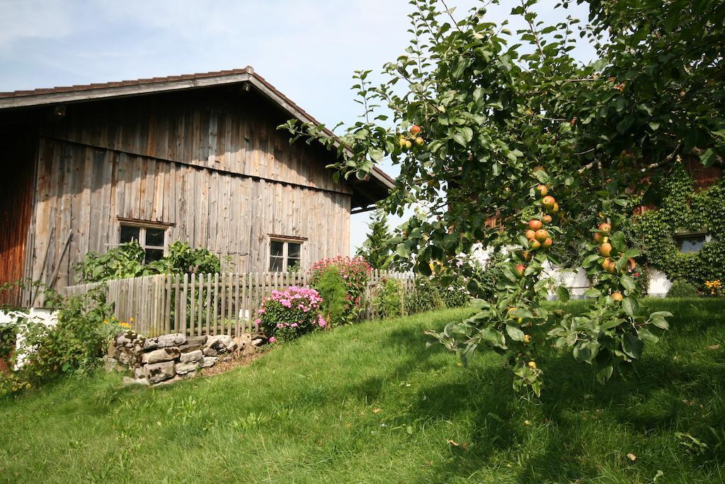 Landhaus Berktold Obermaiselstein Exteriör bild
