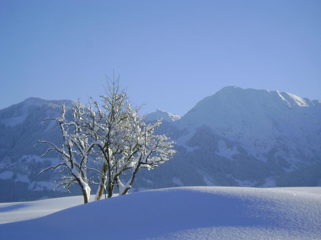 Landhaus Berktold Obermaiselstein Exteriör bild