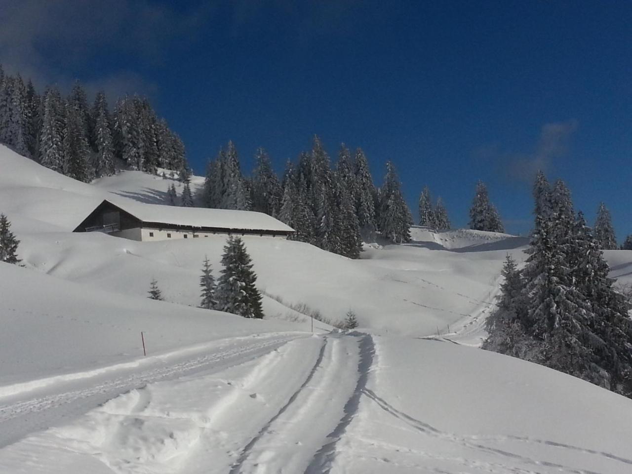 Landhaus Berktold Obermaiselstein Exteriör bild